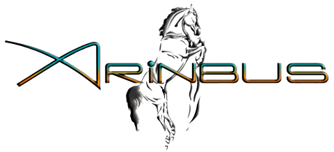 Logo Arinbus